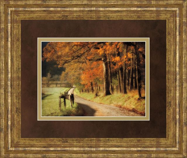 Classy Art “Autumns Morning Light” By D. Burt Orange 34 in. x 40 in. Framed Print Wall Art-0