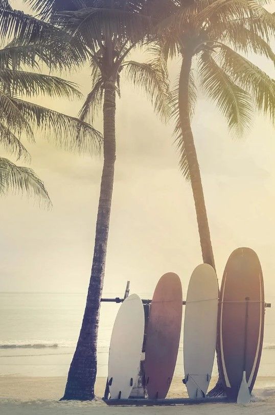 Classy Art Surfing Summer by Mike Calascibetta Wall Art-0