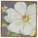 A & B Home 4-Piece Gold/White Flower Wall Art Prints Set-3