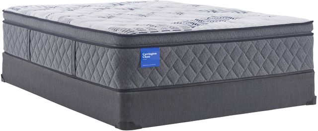 Sealy® Carrington Chase Northpointe 15" Hybrid Plush Pillow Top Queen Mattress-4