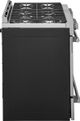 Frigidaire Professional® 30" Stainless Steel Pro Style Natural Gas Range-4