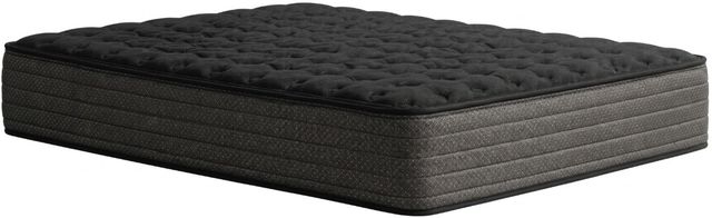 Southerland™ Craftsman 13.5" Wrapped Coil Medium Tight Top Twin XL Mattress-0