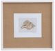 Bassett Mirror Neutral Shell Fresco Il Framed Print-0