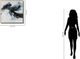 Classy Living Outspoken Sable Motion Abstract Wall Art-2