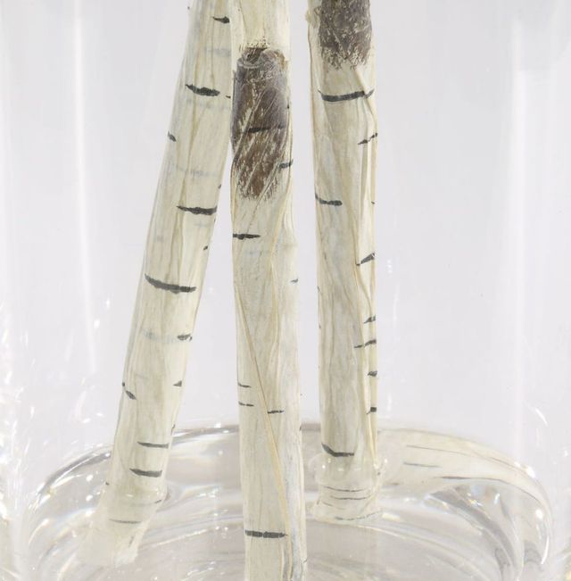 Uttermost® Nigra Clear/Green Birch Centerpiece-4