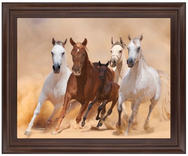 Classy Living Desert Run Wall Art-0