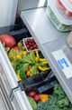 Thermador® Freedom® 36" 18.8 Cu. Ft. Panel Ready Built-in Bottom Freezer Refrigerator-1