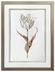 Crestview Collection Gilded Botanicals 4-Piece Wall Art Set-4