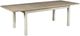 American Drew® Litchfield Boathouse Driftwood Dining Table with Sunwashed Base-2