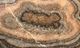 A & B Home Macias Brown Hand-Carved Zebra Onyx Bowl-1