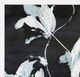 Stylecraft Black/Blue-Green/White Framed Print-1