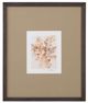 Bassett Mirror Parchment Coral IV Framed Print-0