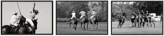 Crestview Collection The Art of Polo 2 3-Piece Wall Art Set-0