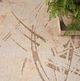 Nourison Home™ Astra Machine Washable Beige 5'x7' Style 51 Area Rug-1