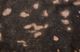 Feizy Ellyse Brown Rug-1