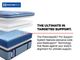 Sealy® Posturepedic® Pro Fuller 15" Wrapped Coil Medium Pillow Top King Mattress-4
