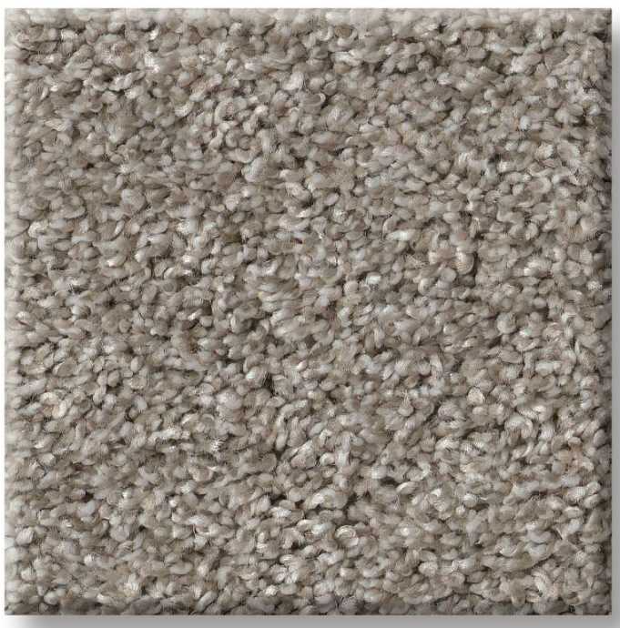 Shaw® Floors Pet Perfect Yes You Can II 12' Sculpture Carpet