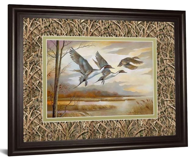 Classy Art Pintails by Ruanne Manning Wall Art-1