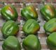 A & B Home Green Faux Bell Pepper-1