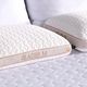 BEDGEAR® Glacier Performance® Shredded Latex/Polyester Fiber Blend 1.0 Medium Soft Bed Pillow-2