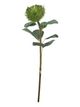 A & B Home Green 28" Faux Pincushion Protea Stem-0