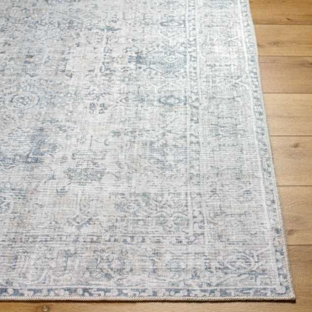 Surya Embrace Beige/Blue 4'x6' Area Rug-1