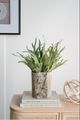 A & B Home Light Green Faux Mature Reindeer Grass Stem-2