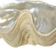 Stylecraft Norman Wyatt Home Natural/Silver Clam Bowl-2