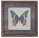 A & B Home 3-Piece Butterfly Wall Art Set-2