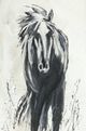 Classic Home Dark Horse Painting by Buddy Whitlock-1