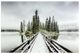 YHD Winter Crossing Glass Art-0
