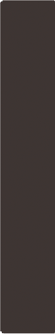 Miele Havana Brown Speed Oven/Steam Oven Trim Kit for 30" Niche-1