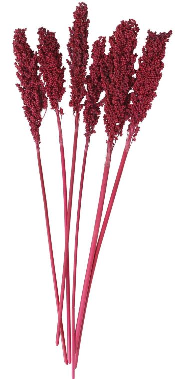 Deco Marche Pink Dried Plant Corn Maze Grass Natural Foliage with Long Stems-0