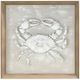 Crestview Collection Pinch & Claw 2-Piece Wall Art Set-1