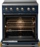 Viking® 5 Series 30" Slate Blue Pro Style Induction Range with Brushed Brass Trim-1
