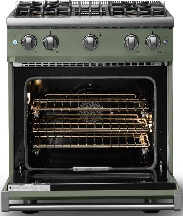 Viking® 5 Series 30" Eucalyptus Pro Style Gas (NG) Range with Polished Chrome Trim-1