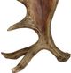 Pacific Coast® Lighting Norton Natural Moose Antler Lamp-4