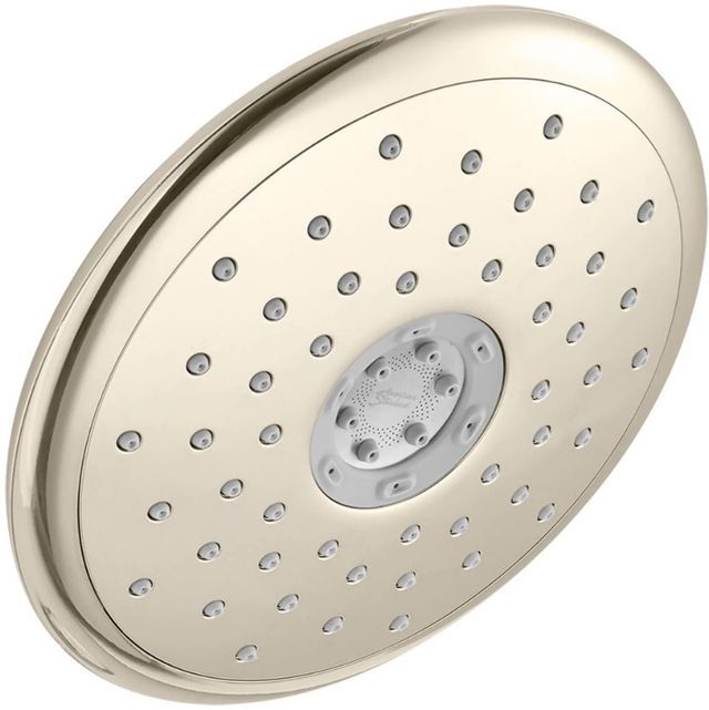 American Standard Spectra Polished Nickel 4-Function Touch Water-Saving Showerhead-0