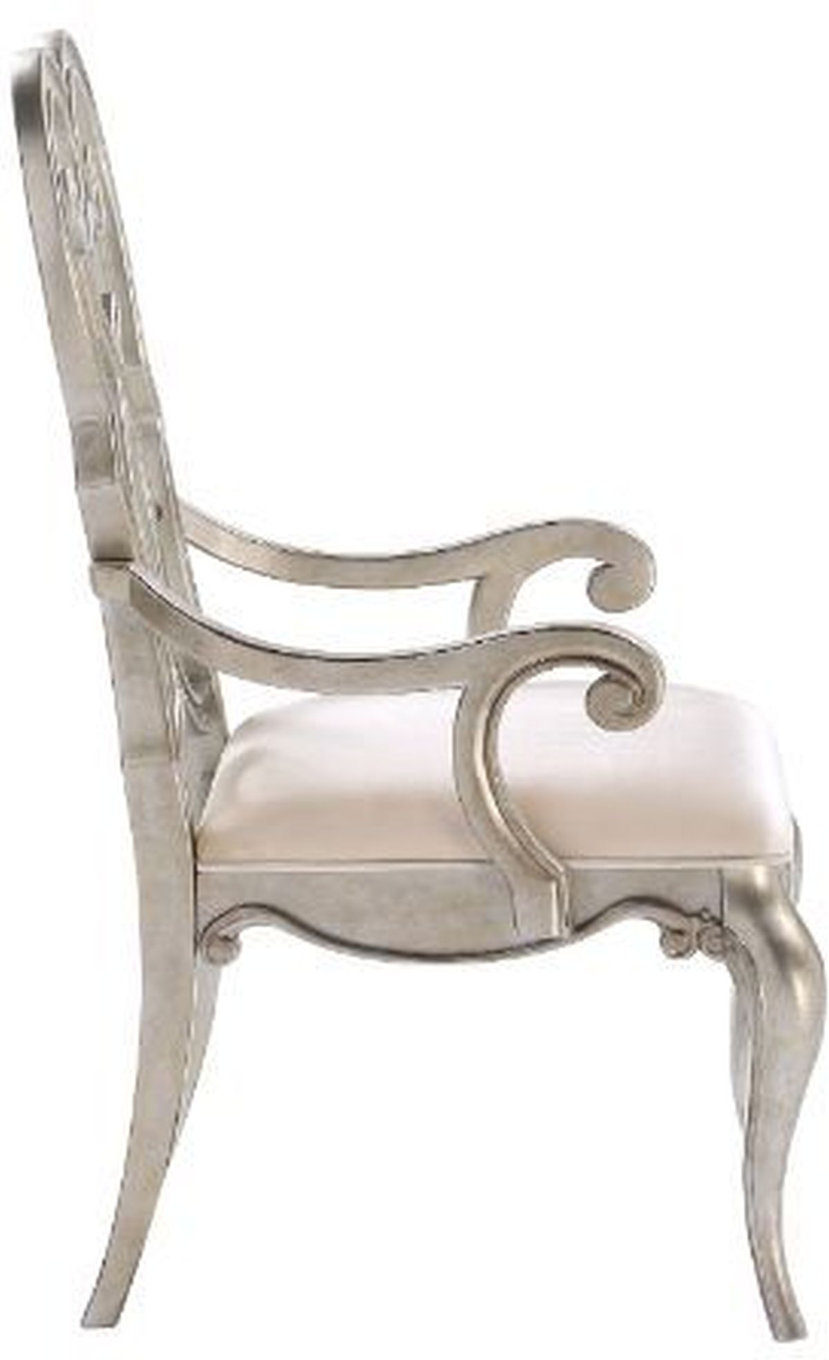 Acme Furniture Esteban Arm Chair - Thumbnail 5