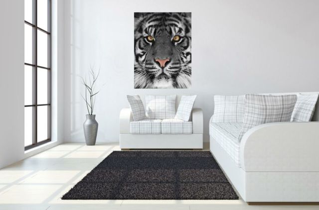 Classy Art Gray 40 x 60 Floating Tempered Glass with Foil-3