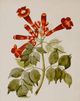 Stylecraft Green/Light Green/Off-White/Orange/Red Wall Art-1