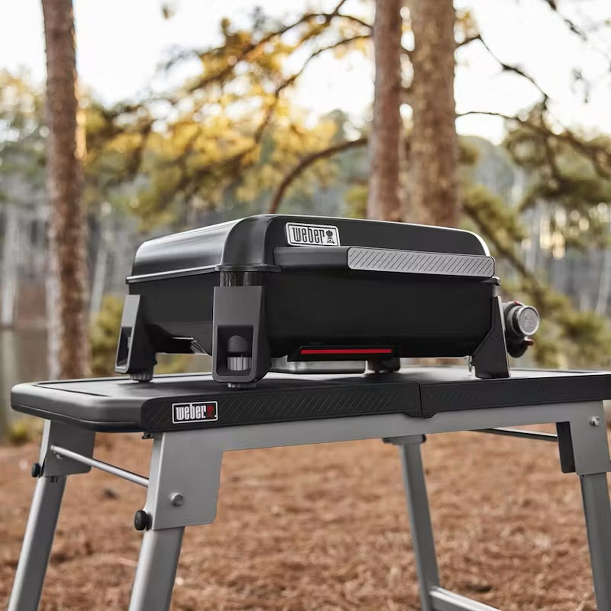 Weber® Slate® 17