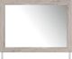 Signature Design by Ashley® Broachmyn Gray Bedroom Mirror-2