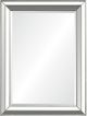 Renwil® Hawkwell Silver Leaf Mirror-0