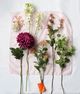 A & B Home Green Canola Flower Stem-4