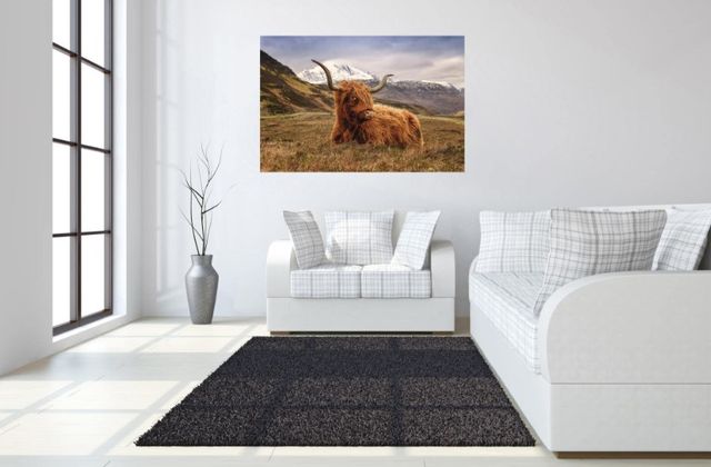 Classy Living Highland Cow II Wall Art-1