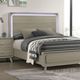 Furniture of America® Rainier Gray King Panel Bed-0