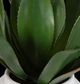 Uttermost® Tierra Agave Green/White Centerpiece with Vase-2