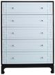 Century® Customizable Details Case 5-Drawer Low Chest-3