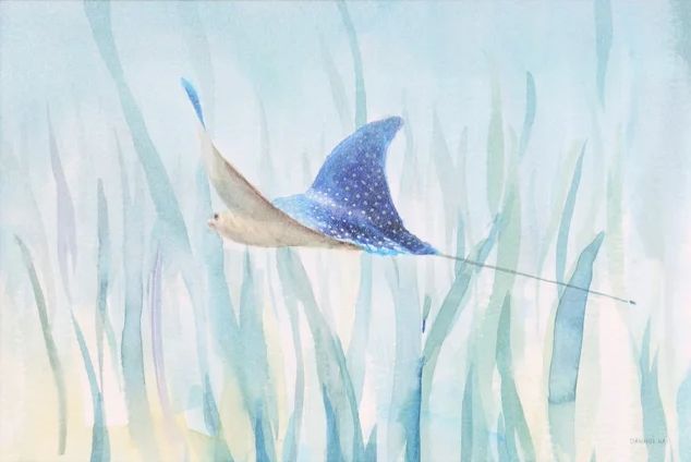 Stylecraft Undersea Ray Wall Art-1